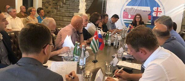 Круглый стол, посвященный вопросам безопасности в связи с наращиванием военной силы в Грузии - Sputnik Абхазия