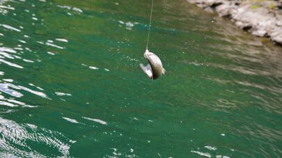 Спортивная рыбалка на озере Рица