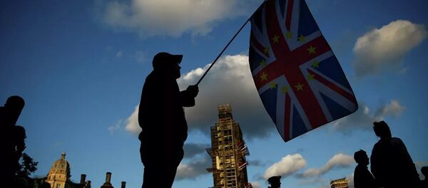 Противник Brexit в Лондоне  Противник Brexit в Лондоне  - Sputnik Абхазия