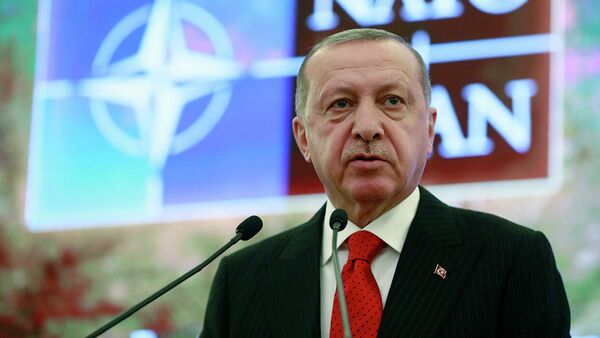 Президент Турции Реджеп Тайип Эрдоган выступает на заседании НАТО в Анкаре - Sputnik Абхазия