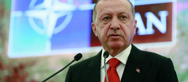 Президент Турции Реджеп Тайип Эрдоган выступает на заседании НАТО в Анкаре - Sputnik Абхазия