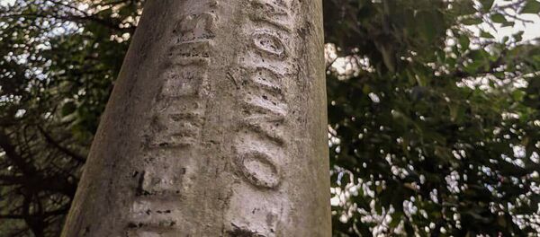 Индоевропатәи ателеграфтә цәаҳәа ашьаҟақәа Аҟәа игылоуп Индоевропатәи ателеграфтә цәаҳәа ашьаҟақәа Аҟәа игылоуп - Sputnik Аҧсны