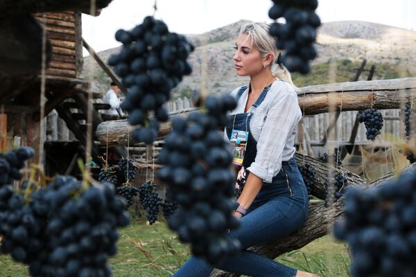 Девушка на Празднике Винограда в интерактивном парке Викинг в Крыму - Sputnik Абхазия