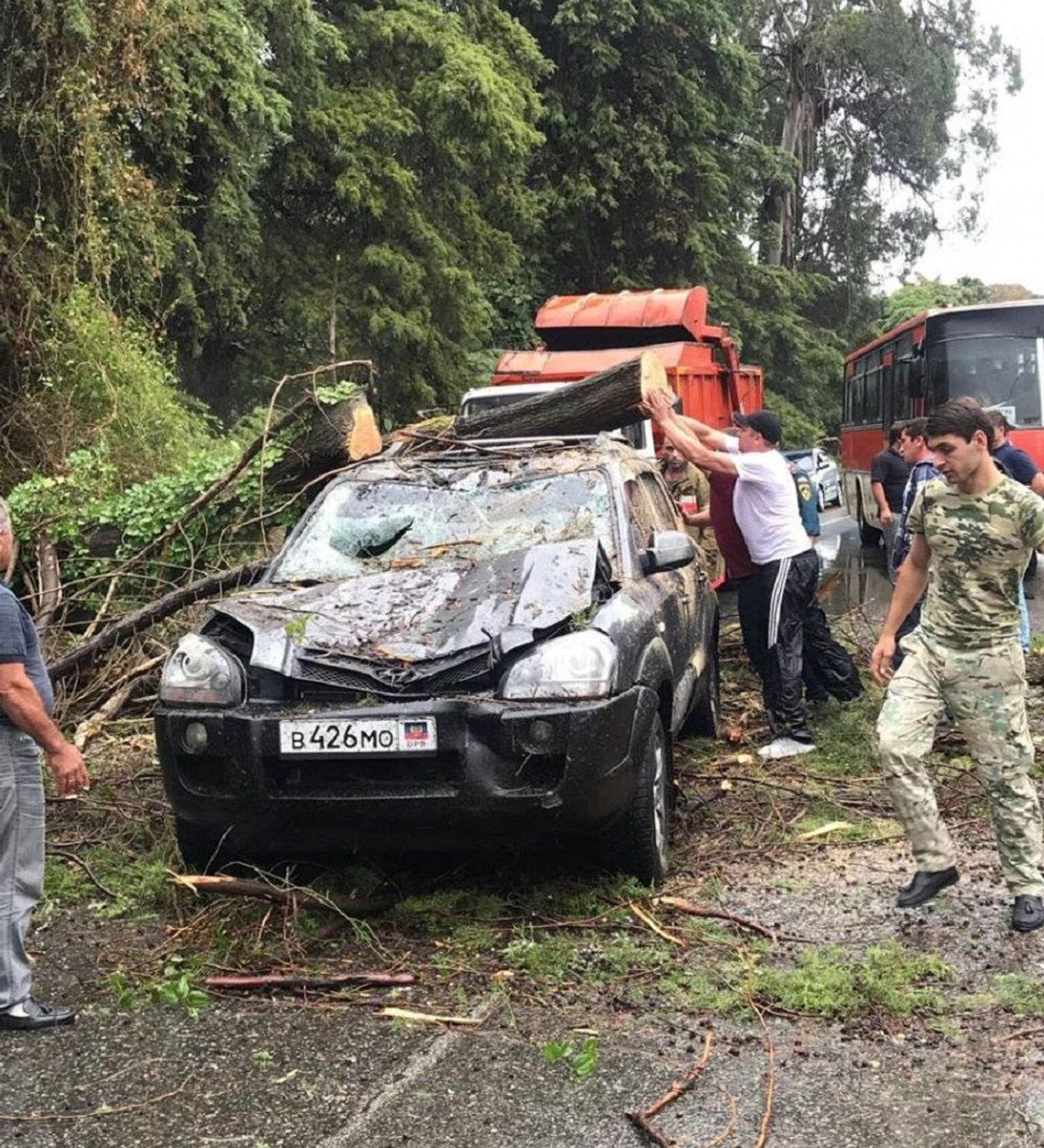 Фотофакт: дерево упало на автомобиль в районе села Приморское под Гудаутой  - 17.09.2019, Sputnik Абхазия