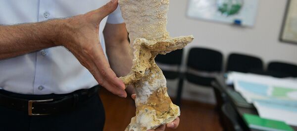 Сталагмит из Новоафонской пещеры - Sputnik Абхазия