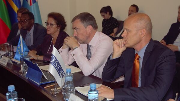 Встреча с Сопредседателями Женевских дискуссий по безопасности и стабильности в Закавказье - Sputnik Абхазия