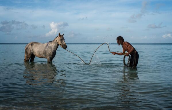 Купание коня в океане на Корнских островах - Sputnik Абхазия