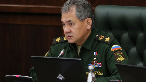 Внеочередное заседание коллегии министерства обороны РФ - Sputnik Абхазия