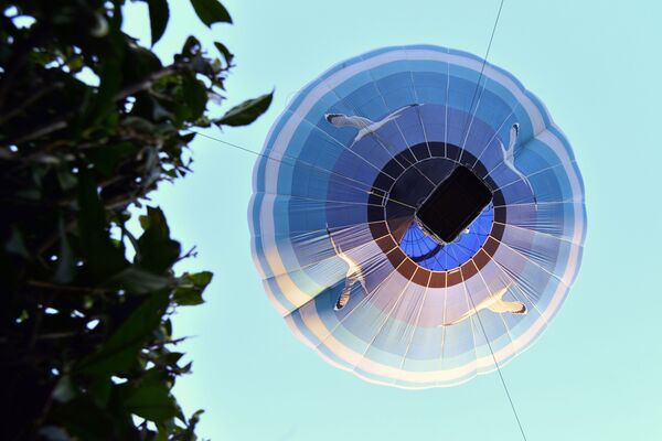 Участник парада аэростатов на Фестивале воздушных шаров Солохаул парка в Сочи - Sputnik Абхазия