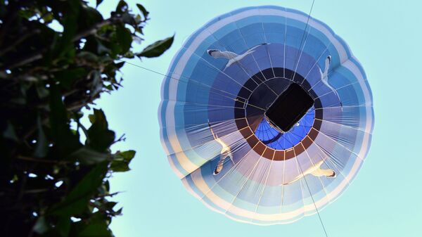 Участник парада аэростатов на Фестивале воздушных шаров Солохаул парка в Сочи - Sputnik Аҧсны