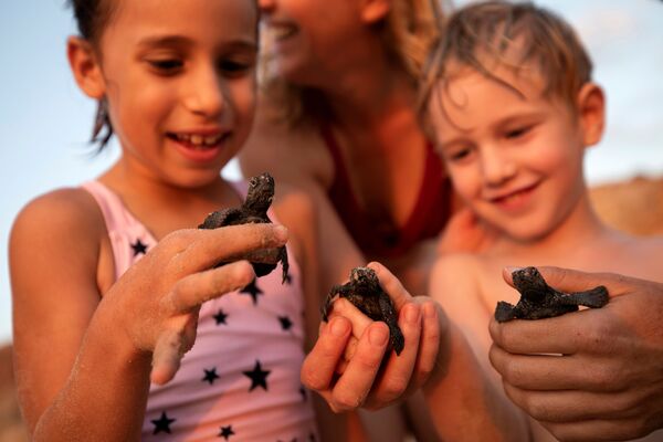 Дети держат в руках детенышей морской черепахи в израильском Центре спасения морских черепах в Тель-Авиве - Sputnik Абхазия