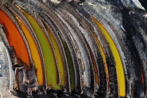 Снимок Remains of the Forest фотографа J Henry Fair, получивший приз 2019 Climate Action and Energy Prize в рамках конкурса The Environmental Photographer of the Year 2019 - Sputnik Абхазия