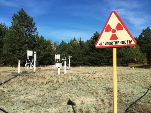 Знак радиации на научно-исследовательской станции Масаны в Полесском государственном радиационно-экологическом заповеднике - Sputnik Абхазия
