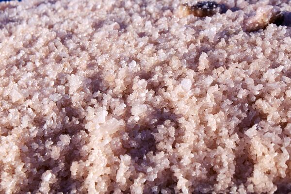 Розовая соль на озере Сасык-Сиваш под Евпаторией - Sputnik Абхазия