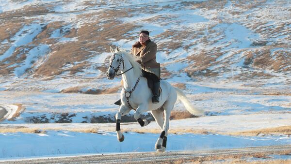 Северокорейский лидер Ким Чен Ын скачет на лошади во время снегопада на горе Паекту - Sputnik Абхазия
