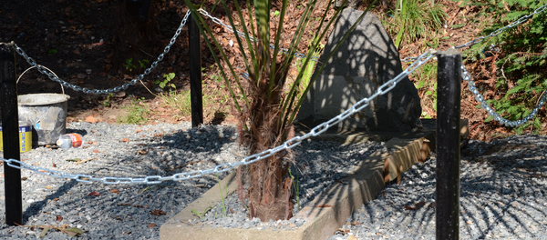 Место захоронения двух летчиков, погибших во время Великой Отечественной войны Место захоронения двух летчиков, погибших во время Великой Отечественной войны - Sputnik Абхазия