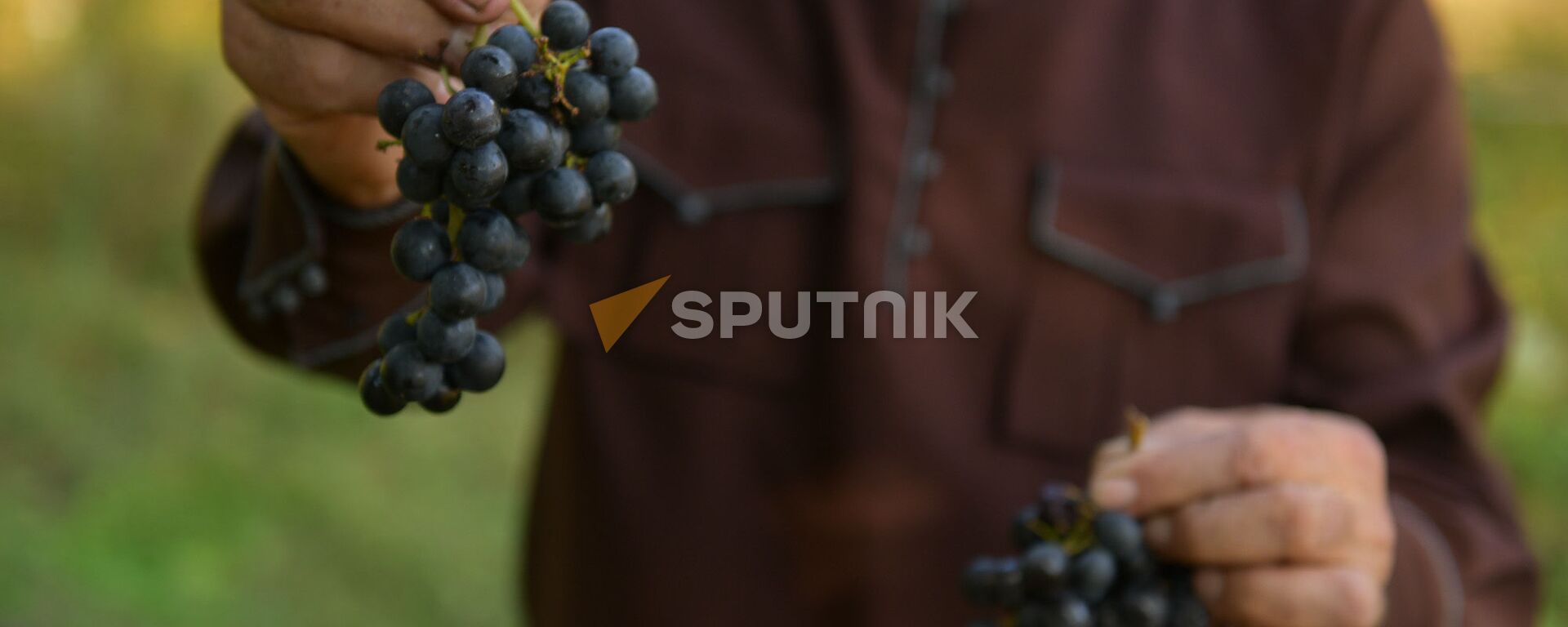 Сбор винограда в селе Хуап - Sputnik Аҧсны, 1920, 02.11.2019