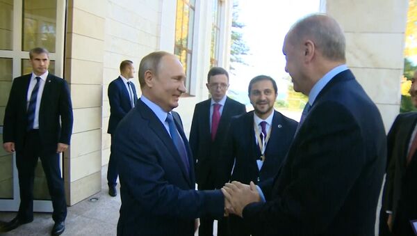 Путин включил для Эрдогана хорошую погоду в Сочи - Sputnik Абхазия