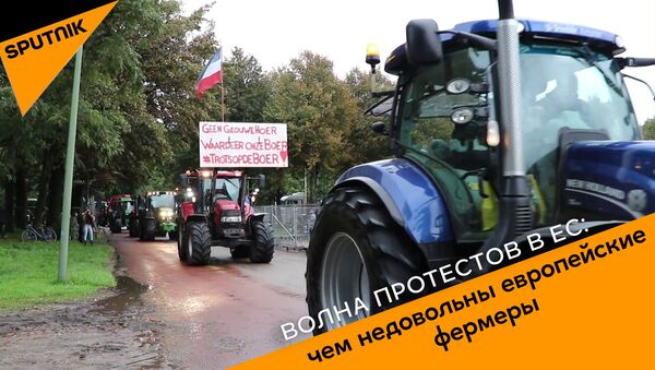 Волна протестов в ЕС: чем недовольны европейские фермеры - Sputnik Абхазия