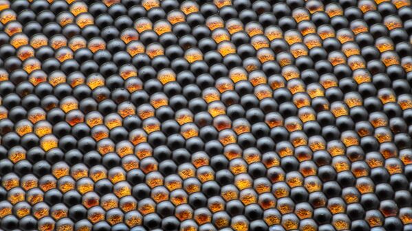 Снимок Housefly compound eye pattern румынского фотографа Dr. Razvan Cornel Constantin, занявший 16 место на фотоконкурсе Nikon Small World 2019  - Sputnik Абхазия
