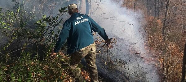 Амца зку аԥснытәи абнақәа 350 тонна рҟынӡа аӡы рықәҭәоуп Амца зку аԥснытәи абнақәа 350 тонна рҟынӡа аӡы рықәҭәоуп - Sputnik Аҧсны