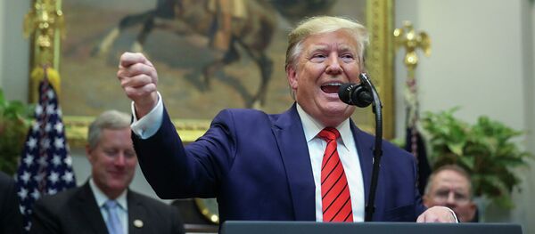 Дональд Трамп во время пресс-конференции в Белом Доме в Вашингтоне Дональд Трамп во время пресс-конференции в Белом Доме в Вашингтоне - Sputnik Абхазия