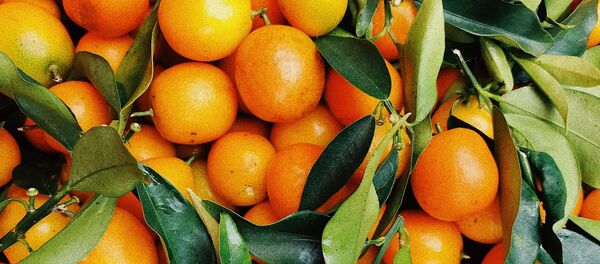 Мандарин  - Sputnik Абхазия