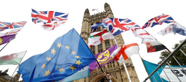 Протесты против Brexit Протесты против Brexit - Sputnik Абхазия