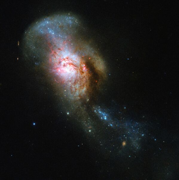 Снимок объекта NGC 4194 Слияние Медузы, полученный с помощью телескопа Hubble - Sputnik Абхазия
