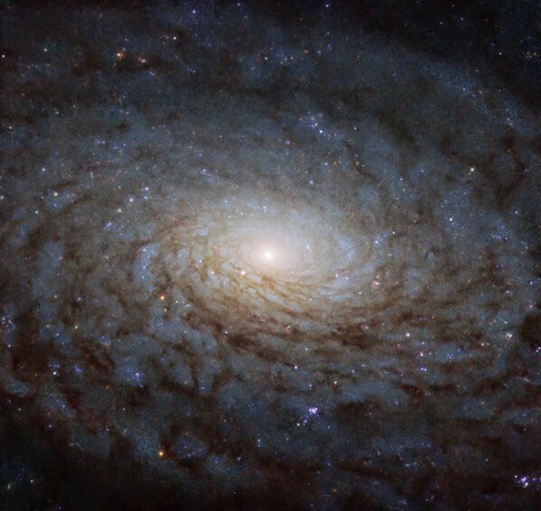 Снимок спиральной галактики NGC 4380 - Sputnik Абхазия