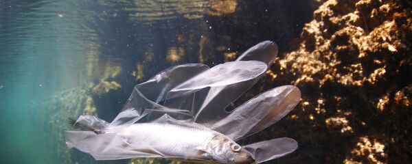 Мусор в море Мусор в море - Sputnik Абхазия