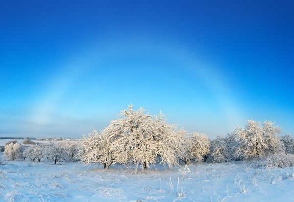 Снимок White misty rainbow over the winter garden  фотографа Elena Belozorova, ставший финалистом конкурса Weather Photographer of the Year 2019 - Sputnik Абхазия