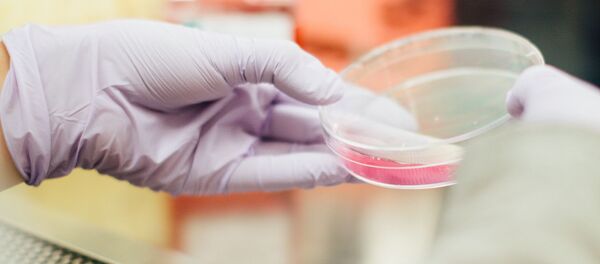 Лаборатория Лаборатория - Sputnik Абхазия