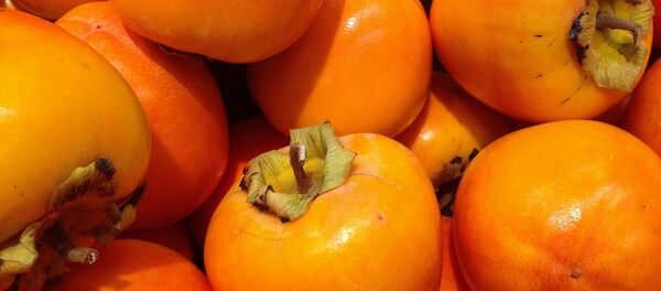 Хурма Хурма - Sputnik Абхазия