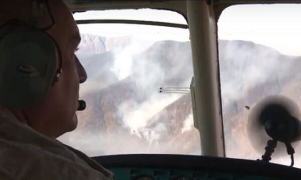 Крупный пожар в высокогорной Абхазии - Sputnik Абхазия