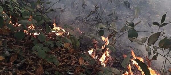 Напышьашәала идырцәоит: Аҟәа араион аҿы еиҭах абна амца акуп Напышьашәала идырцәоит: Аҟәа араион аҿы еиҭах абна амца акуп - Sputnik Аҧсны