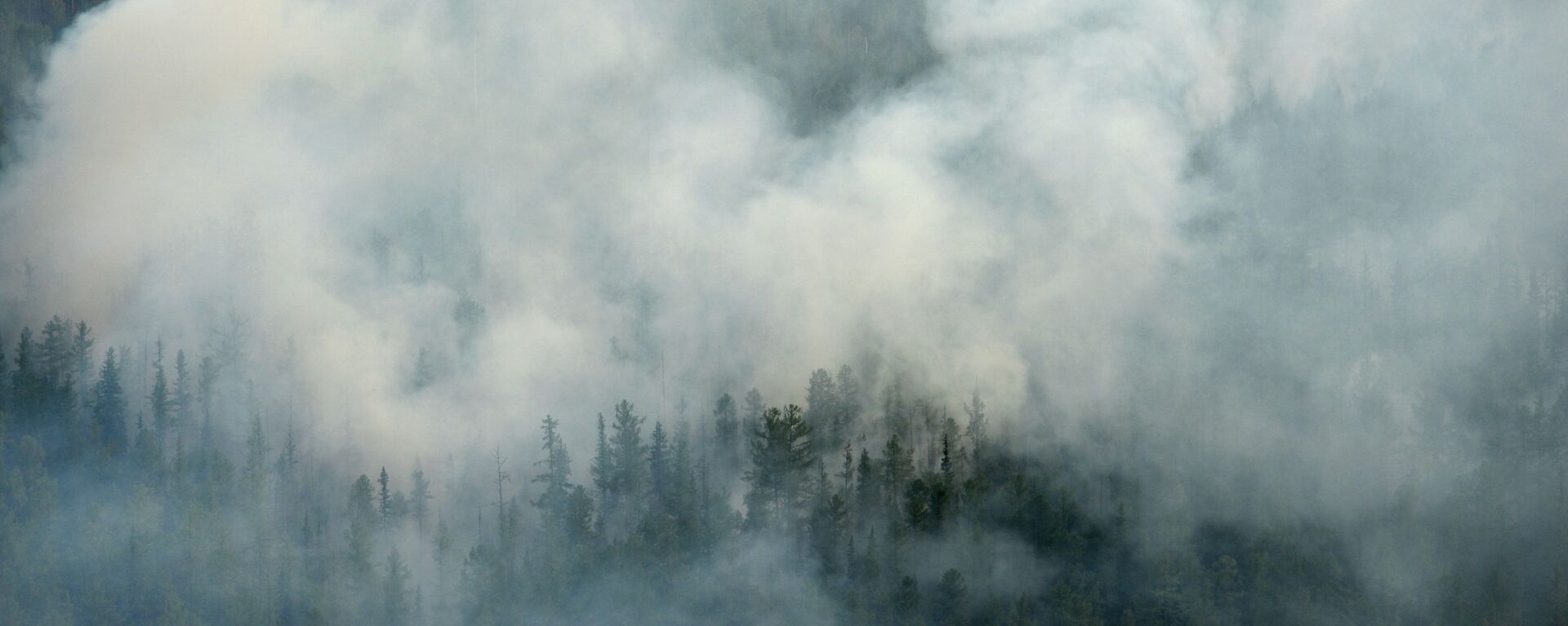  Пожаров в лесу  - Sputnik Абхазия, 1920, 16.03.2025