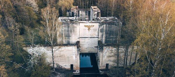 Волчье логово  Волчье логово  - Sputnik Абхазия