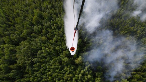 Сброс воды с вертолёта при ликвидации лесного пожара - Sputnik Абхазия