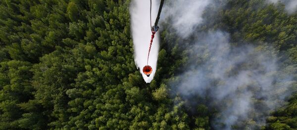 Сброс воды с вертолёта при ликвидации лесного пожара Сброс воды с вертолёта при ликвидации лесного пожара - Sputnik Абхазия