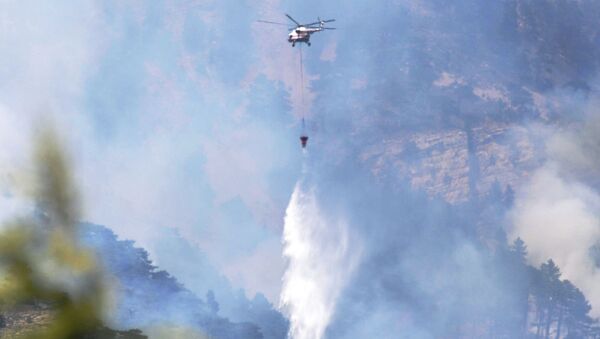 Тушение пожаров в горнолесном заповеднике над Ялтой - Sputnik Абхазия