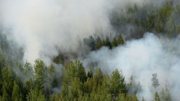Вид на лесные пожары с вертолета, задействованного в тушении. - Sputnik Аҧсны