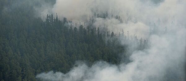 Аҵыхәтәантәи хәымш рыҩнуҵҟа 60 рҟынӡа амца зкыз аҭыԥқәа аарԥшуп - Sputnik Аҧсны