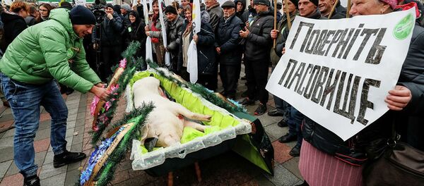 Митинг против земельной реформы перед зданием парламента в Киеве Митинг против земельной реформы перед зданием парламента в Киеве - Sputnik Абхазия