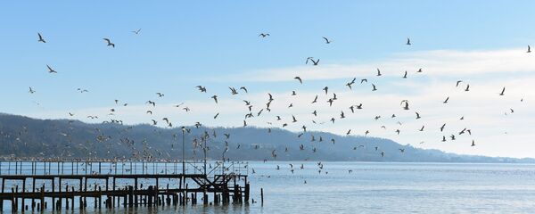 Амш зеиԥшрахо: аҳауа аҽеиҭакразы ажәлар разгәаҭарақәа - Sputnik Аҧсны