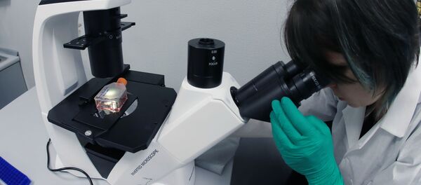 Сотрудник в лаборатории генной инженерии Сотрудник в лаборатории генной инженерии - Sputnik Абхазия