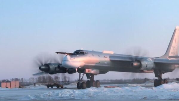Полет с “кортежем”: японские южнокорейские истребители сопроводили российские Ту-95МС - Sputnik Абхазия