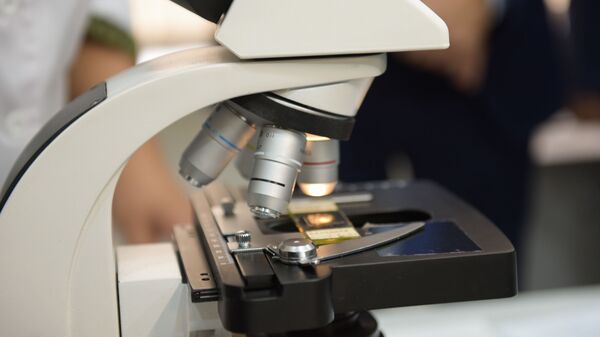 Фитосанитарная лаборатория карантинной службы РА - Sputnik Абхазия