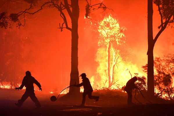 Волонтеры, пожарные и спасатели из Нового Южного Уэльса тушат пожар неподалеку от деревни Термейл, Австралия - Sputnik Абхазия