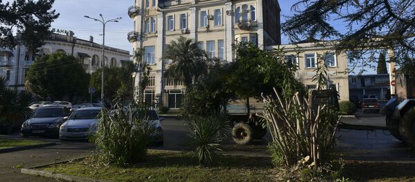 Обрезка алеандров Обрезка алеандров - Sputnik Абхазия